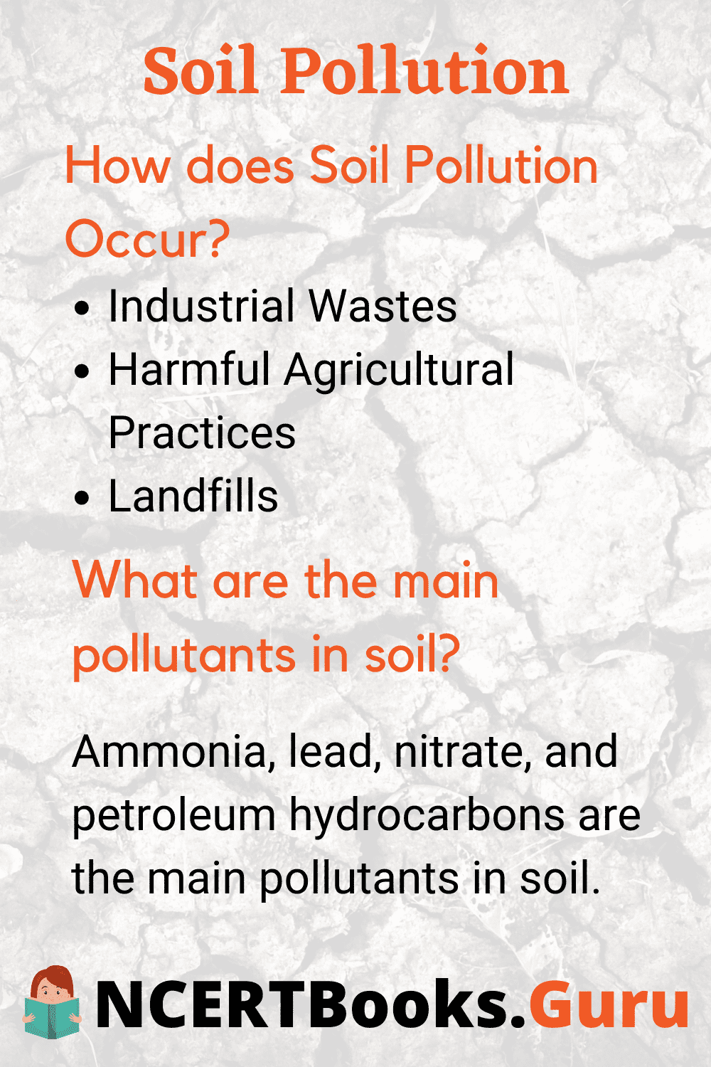 short essay on effects of soil pollution