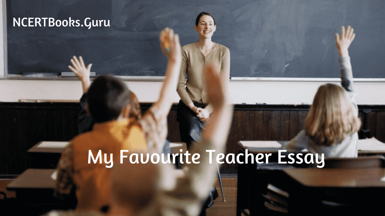 essay about teacher you admire