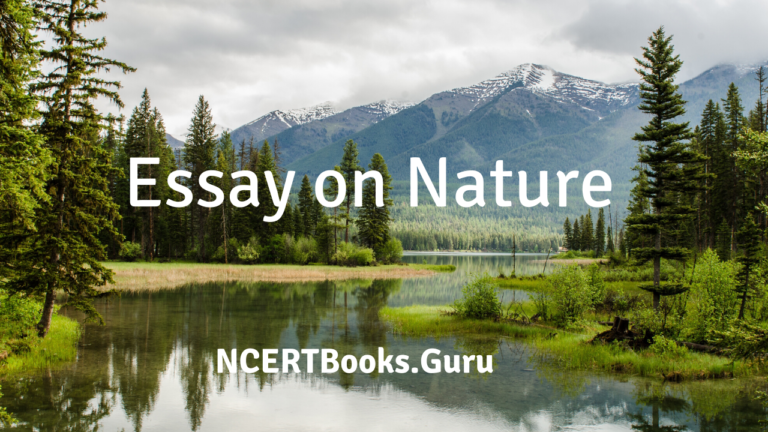 simple essay about nature in english