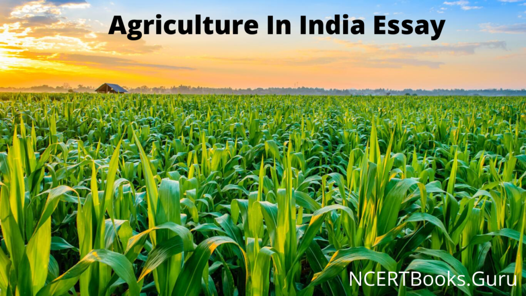 essay on agriculture in india