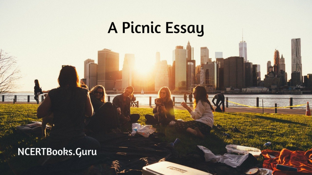the best picnic have you ever had essay
