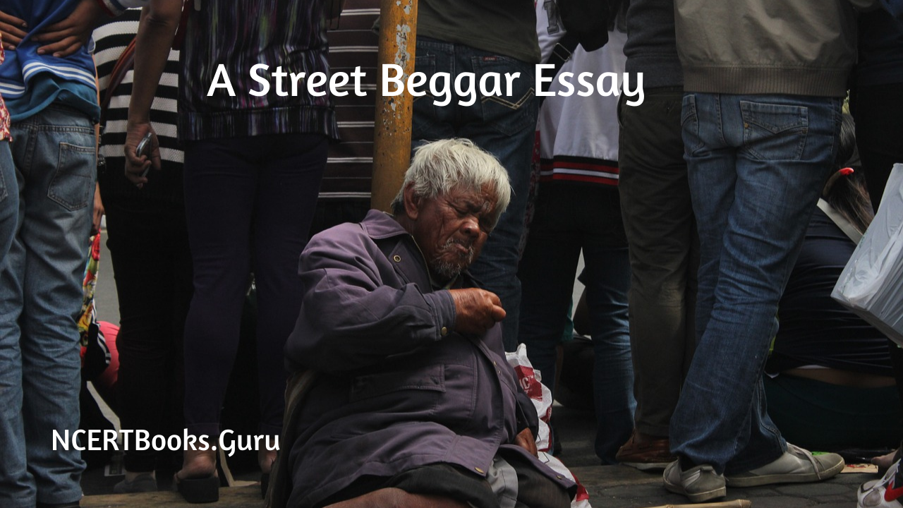 essay a street beggar