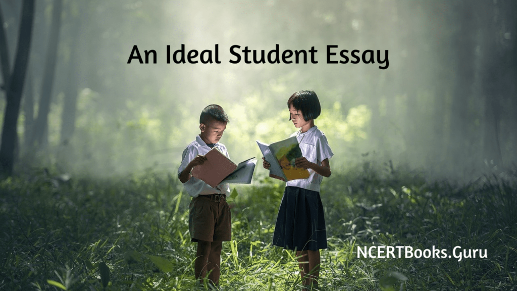 essay on ideal student in english