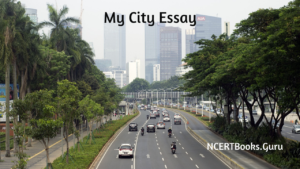 making my city better essay in english