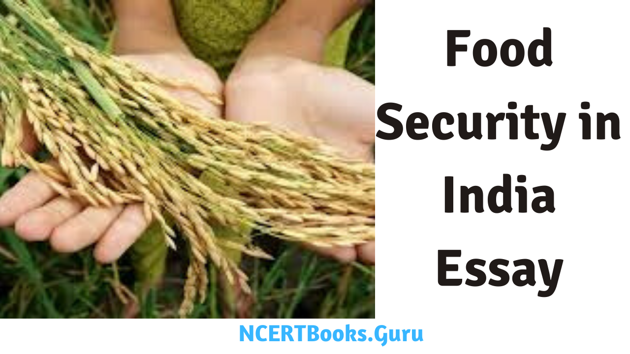 essay on food security in india