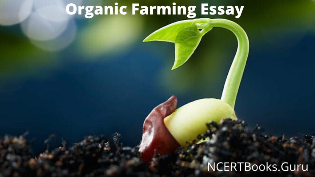 natural farming essay in english