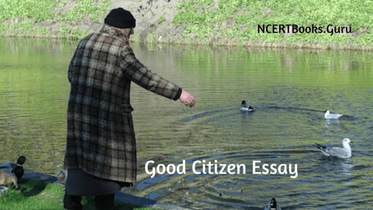 who is a good citizen essay