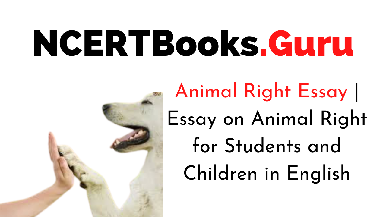 introduction for animal rights essay