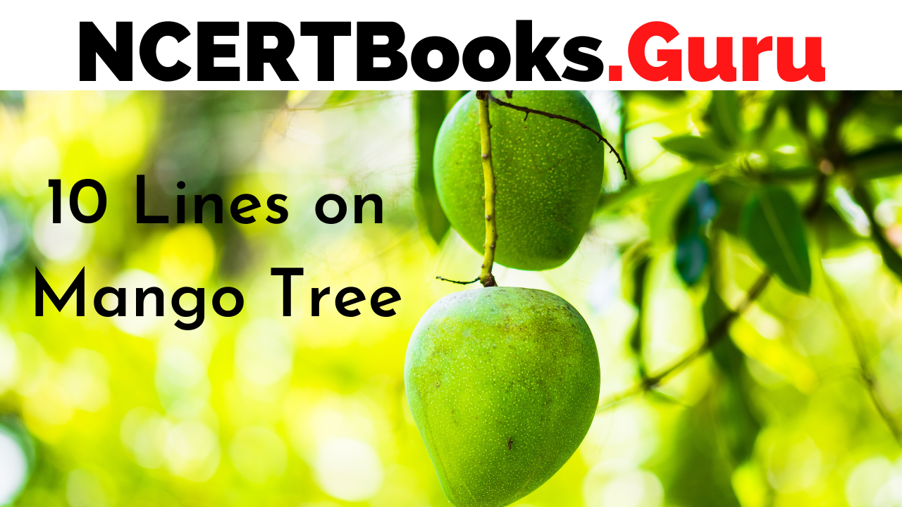 essay on mango tree in gujarati