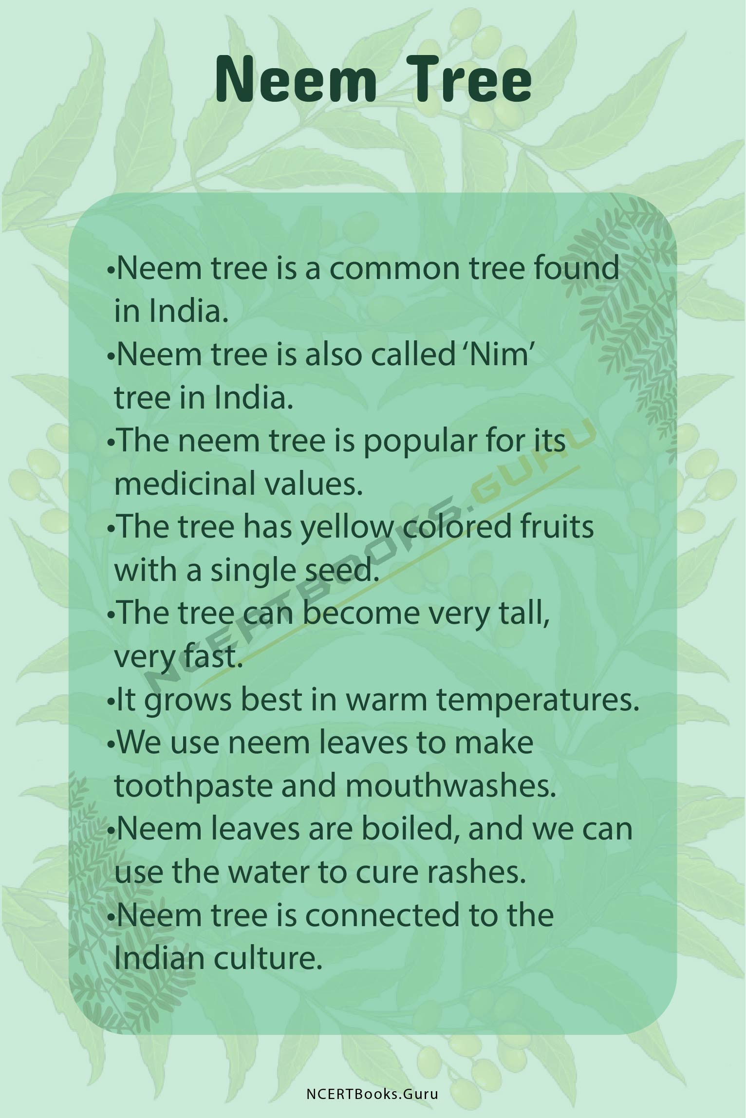 importance of neem tree essay