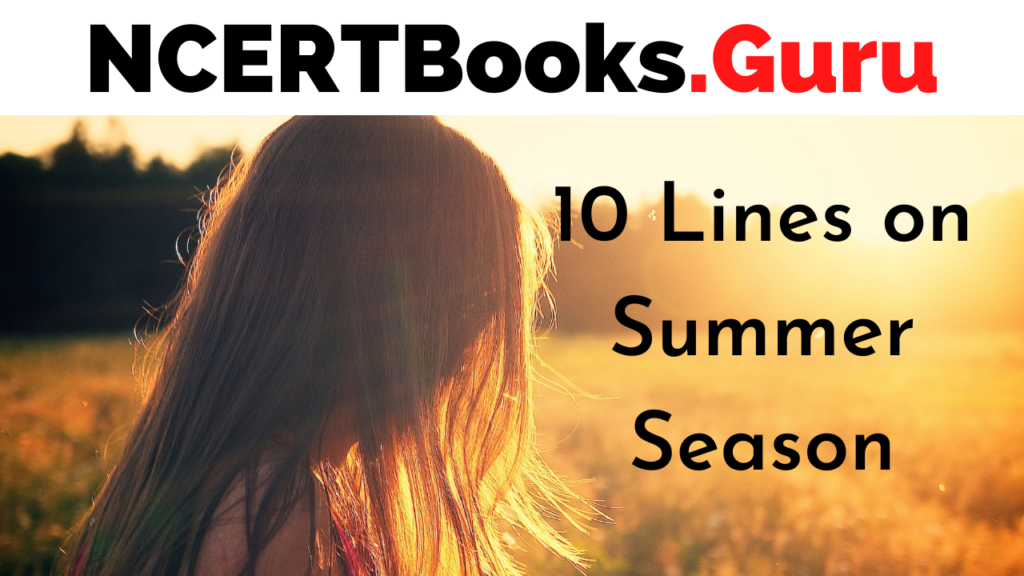 Seasons for Kids: All About Summer
