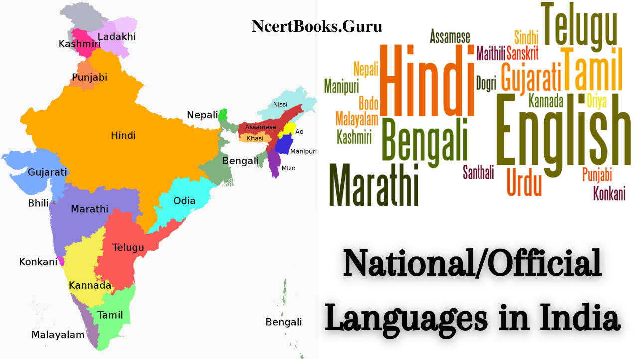 essay about languages in india
