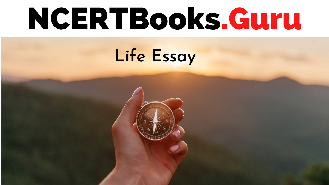 essay on what is simple life