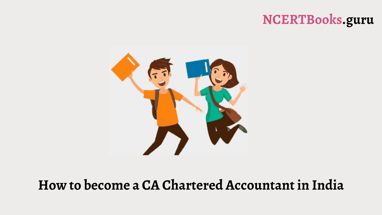 What Is a Chartered Accountant (CA) and What Do They Do?